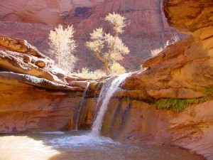 Grand Staircase-Escalante National Monument