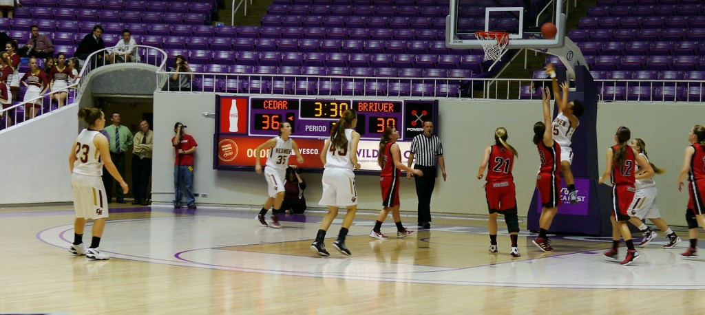 Cedar vs. Bear River, Ogden, Utah, Feb. 21, 2013 | Photo by Sara Amodt, St. George News