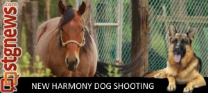 New-Harmony-Animal-Killing-1