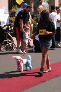 Roxie walks the red carpet at the SunRiver Pet Festival, St. George, Utah, May 18, 2013 | Photo by Alexa Verdugo Morgan, St. George News