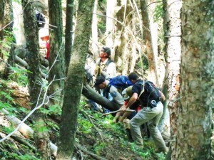 Multiple agency personnel and K-9s search for clues in the search for Dylan Redwine who went missing on Nov. 19, 2012, in La Plata County, Colo. Middle Mountain area, Colo., June 22-26, 2013 | Photo courtesy of La Plata County Sheriff's Office