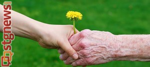 elder-abuse-prevention