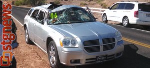 A tree crashed onto a moving car in a "freak accident," St. George, Utah, June 15, 2013 | Photo by Mori Kessler, St. George News