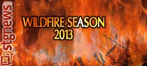 wildfire-2013