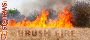 brush-fire