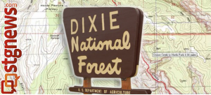 dixie-national-forest