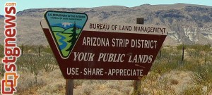 blm-az-strip