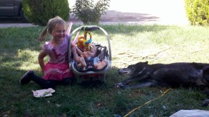 Children of Kolten Winder and Chelsea Chiacchiera, with Sherrill Brinkerhoff's dog, St. George, Utah, Sept. 4, 2013 | Photo taken by Sarah Isaacson, St. George News