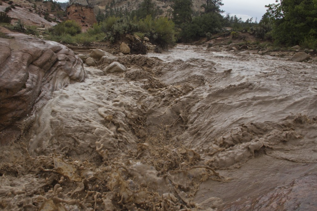 Upper Pine Creek Zion National Park flooding STGnews.com