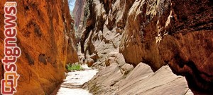 behunin-canyon-rescue