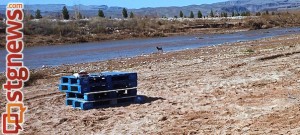 virgin-river-cleanup