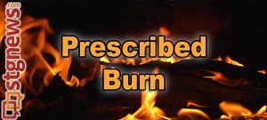 prescribed-burn