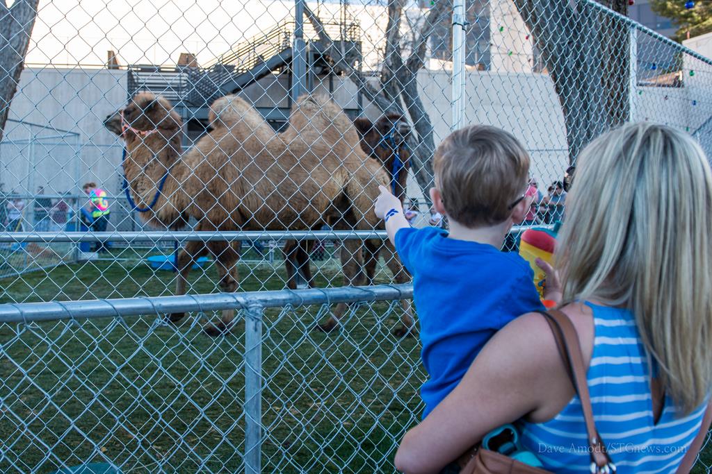 Zapposâ€™s Save the Zoo event raises 251,000 for Roos-n-More ...