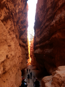 A narrow slot canyon in Bryce Canyon National Park, Utah, Aug. 26 2013 | Photo By Drew Allred, St. George News