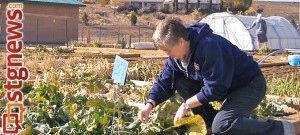 Ellen Bonadurer tends to her plot at Tonaquint Nature Center's community garden , St. George, Utah, Feb. 08, 2014 | Photo by Aspen Stoddard, St. George News