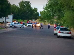 Multiple people were taken to the hospital after a large fight broke out near Waterfront Drive and 2450, St. George, Utah, June 22, 2014 | Photo by Kimberly Scott, St. George News