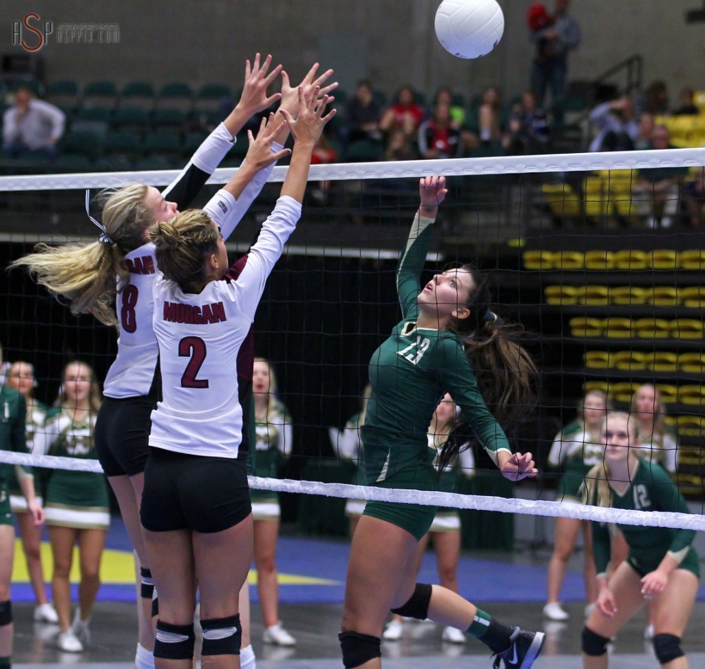 Alexsa "Crash" Parker tips a ball during the state championship match, 2014 3A State Volleyball Tournament, Orem, Utah, Oct. 30, 2014 | Photo by Robert Hoppie, ASPpix.com, St. George News