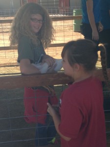 A fourth grader holds a chicken during a Farm Field Day field trip to Staheli Farm, Washington, Utah, Oct. 8, 2014 | Photo by Holly Coombs, St. George News