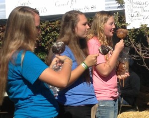 Teens enjoy carmel apples sold at the New Harmony Apple Festival, New Harmony, Utah, Oct. 11, 2014 | Photo by Holly Coombs, St. George News