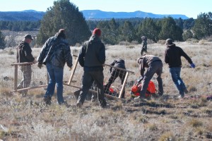 Biologists and helpers rush to retrieve the 2 bighorn sheep set down by the helicopter, Nov. 23, 2014 | Photo by Leanna Bergeron, St. George News