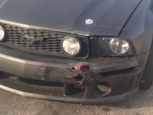 A mustang sustains front-end damage after its involvement in a collision on River Road, St. George, Utah, Dec. 8, 2014 | Photo by Holly Coombs, St. George News