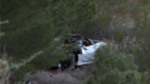 A Corvette came to a stop amid trees at the bottom of an embankment, Washington City, Utah, Dec. 4, 2014 | Photo by Melissa Anderson, St. George News, KCSG