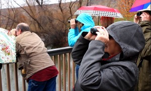 Birdwatchers surveying the pond next to the Tonaquint Nature Center, Jan. 30, 2015 | Photo by Leanna Bergeron, St. George News