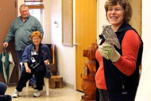 Janet Nelson with a Screech owl at the Winter Bird Festival, Jan. 30, 2015 | Photo by Leanna Bergeron