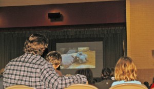 Martin Tyner shared a PowerPoint presentation about birds of prey in the western U.S. at North Elementary School on Monday, this is a slide of one day old baby kestrel falcons, Cedar City, Utah, Feb. 2, 2015 | Photo by Carin Miller, St. George News