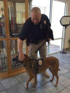 New K-9 officer at the Hurricane Police Department with her handler Jayson Despain, Hurricane, Utah, March 19, 2015 | Photo courtesy of Because Animals Matter, St. George News