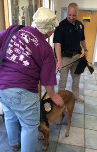 New K-9 officer at the Hurricane Police Department with her handler Jayson Despain, Hurricane, Utah, March 19, 2015 | Photo courtesy of Because Animals Matter, St. George News