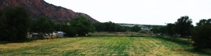 Agricultural property in Hildale, Utah, July 26, 2014 | Photo by Cami Cox Jim, St. George News