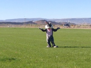 The Easter Bunny leads off the egg hunt at Staheli Family Farm, Washington City, Utah, March 28, 2015 | Photo by Hollie Reina, St. George News