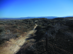 Suzuki Springs trail, St. George, Utah, undated | Photo by Jay Bartlett, St. George New