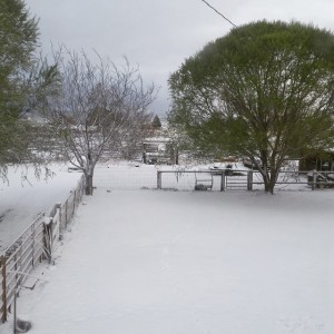 Snow cover in Paragonah on Wednesday morning, Paragonah, Utah, April 8, 2015 | Photo courtesy of Kelsie Trunnell, St. George News