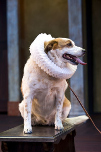 Dog plays Crab in the production "The Two Gentleman of Verona", Cedar City, Utah, undated | Photo courtesy of the Utah Shakespeare Festival, St. George News