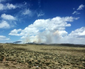 A wildfire burns in Sevier County, Utah, April 14, 2015 | Photo courtesy of Julie Trevelyan, St. George News