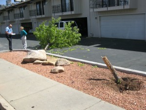 Landscaping damage from Monday's accident at 300 South and 200 W in St. George April 6, 2015 | Photo by Ric Wayman, St. George News