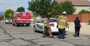 Santa Clara Fire Department responds to a bee colony in a water meter box, Santa Clara, Utah, May 14, 2015 | Photo by Julie Applegate, St. George News