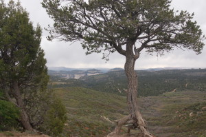 Guests at Zion Ponderosa Ranch Resort can enjoy sweeping views of Zion Canyon and beyond. Mount Carmel, Utah, May 18, 2015 | Photo by Hollie Reina, St. George News