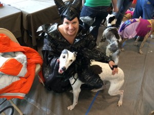 Pam Shane, of Roy, Utah, is dressed as Maleficent while greyhound Abby is dressed as Raven at the Greyhound Gathering, Kanab, Utah, May 9, 2015 | Photo by Cami Cox Jim, St. George News