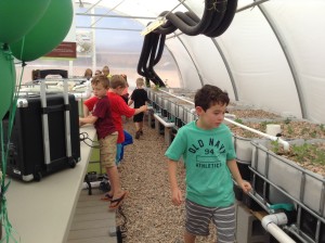 Children from Mrs. Rindlisbacher's first grade class explore the greenhouse at Crimson View Elementary, St. George, Utah, May 13, 2015 | Photo by Hollie Reina, St. George News