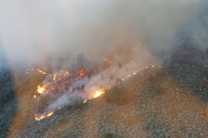 Mountain Emma fire spreads across several acres | Photo courtesy of Alan Syphus, Bureau of Land Management, Arizona Strip District office, St. George News | Click photo to enlarge