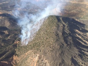 Sand Cove Fire is being handled by fire managers, 30 miles southwest of St. George, Utah, June 16, 2015 | Photo courtesy of BLM Arizona Strip, St. George News