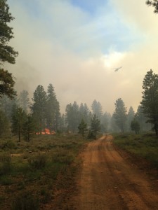 Forest Service treats 2,000 acres with prescribed fire in the Dave’s Hollow area near Bryce Canyon City, Utah, June 3-4, 2015 | Photo courtesy of Dixie National Forest, St. George News