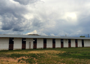 Garfield County is home to communities steeped in heritage and history that officials say are on the verge of collapse, Stables that once housed horses, Escalante, Utah, June 15, 2015 | Photo by Carin Miller, St. George News