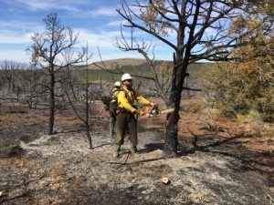 Cedar City Hot Shots conduct mop-up on the Wolf Hole Fire on the BLM Arizona Strip | Photo courtesy of Bureau of Land Management