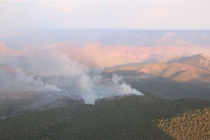 The Mt. Emma Fire has burned 4,000 acres in 5 days, Arizona Strip, Arizona, June 29, 2015 | Photo courtesy of the Bureau of Land Management Arizona Strip, St. George News