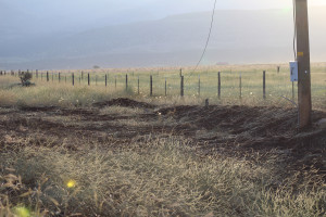 Burnt brush and grass around a fallen power line, New Harmony, UT, June 20, 2015 | Photo by Nataly Burdick, St. George News