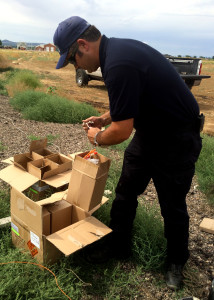 Cedar City firefighter Lowell Sorensen prep the cannons for Satureday night's fireworks display, Cedar City, Utah, July 4, 2015 | Photo by Carin Miller, St. George News